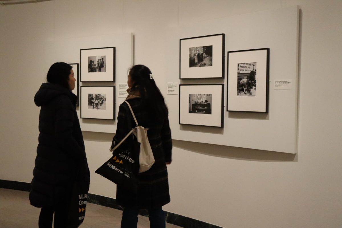 On MLK day, the Museum of Fine Arts had free entry for all Massachusetts residents to experience various exhibits, including “Comrade Sisters: Women of the Black Panther Party.” 